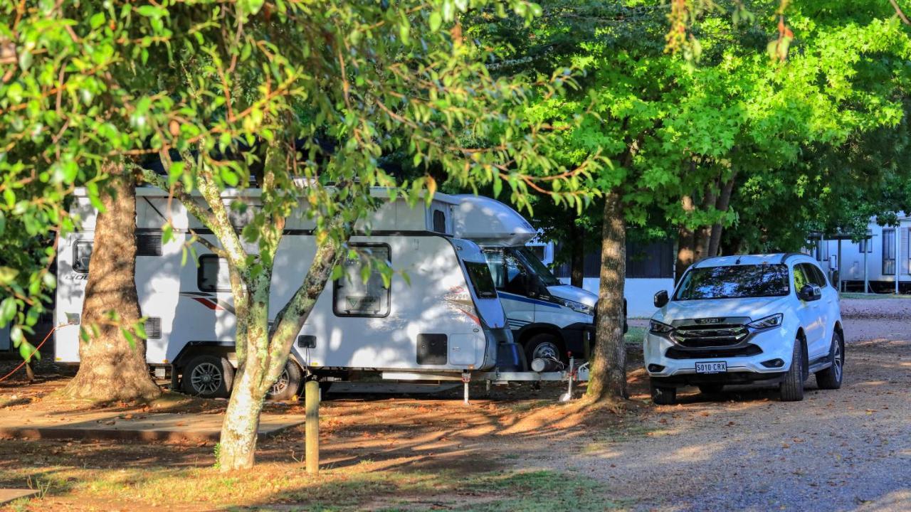 Big4 Porepunkah Holiday Park Bright Εξωτερικό φωτογραφία